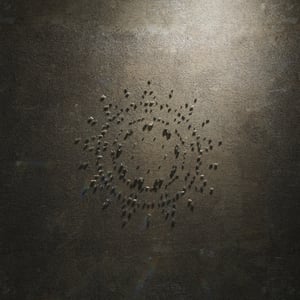 crystalline work (arctic) 15.9.245.1 thumbnail