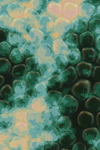 Vitreous #45 thumbnail