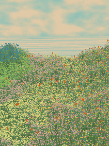 Superbloom #13 thumbnail