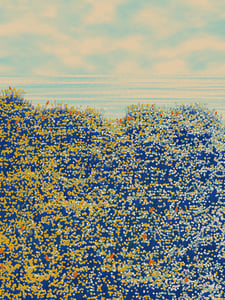 Superbloom #78 thumbnail