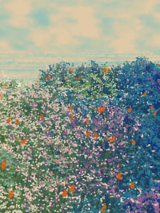 Superbloom #67 thumbnail