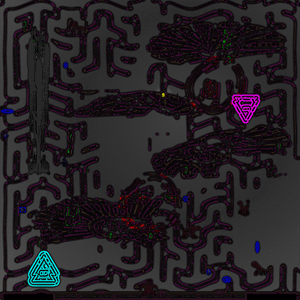 503_BELFRYOCEANWILDCLEAREYE_CRAWL_MAP_BY_TRAVESS_SMALLEY_SEED_1719430331363_PYTHON_V_3_12_3_SCRIPT_V_1_0_DATE_2024-06-26_15-32-11-364232.png thumbnail