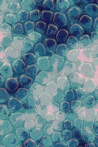 Vitreous #121 thumbnail