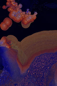 Dactylogram #96 thumbnail
