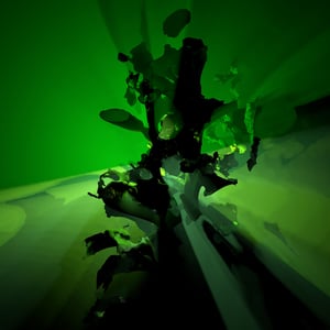 BLOOMCORE #26 thumbnail