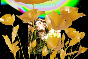 Allure of the Poppy #28 thumbnail