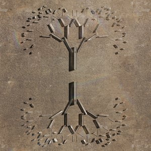 crystalline work (arctic) 15.2.26.1 thumbnail