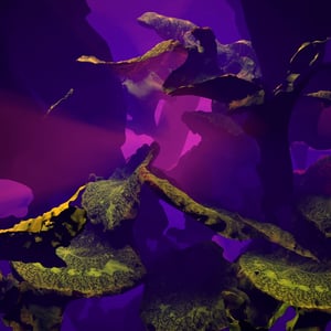 BLOOMCORE #34 thumbnail