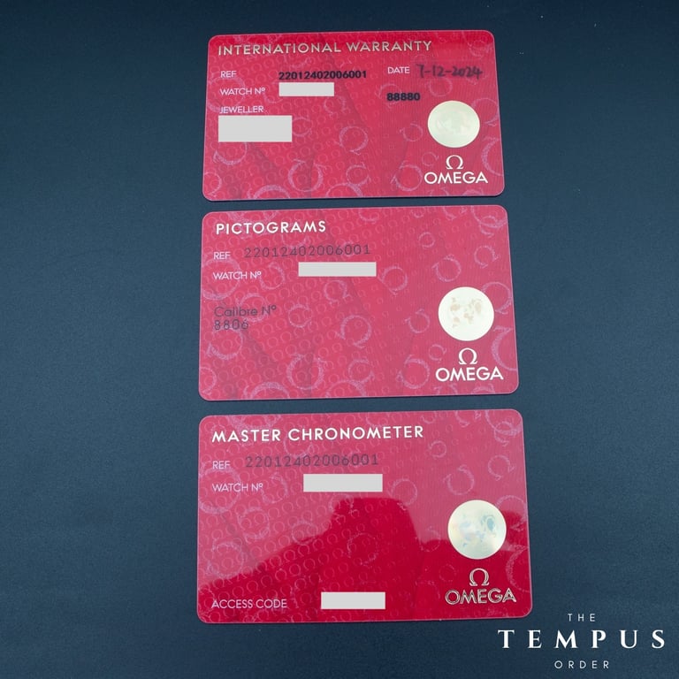 Omega Seamaster Railmaster Co-Axial Master Chronometer – 40mm Stainless Steel Grey Dial