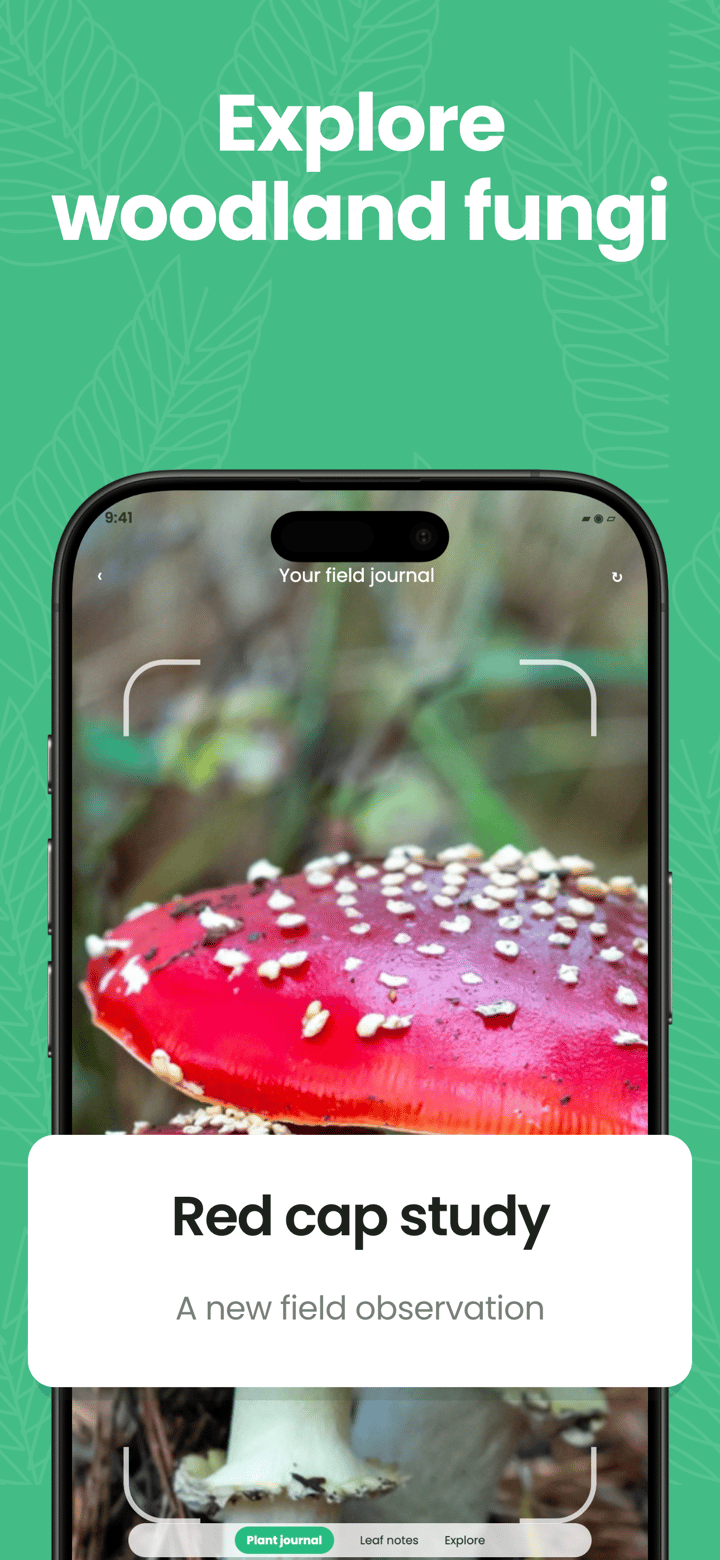 Fern Scan app screenshot template preview, screen 3 of 5, Lifestyle design