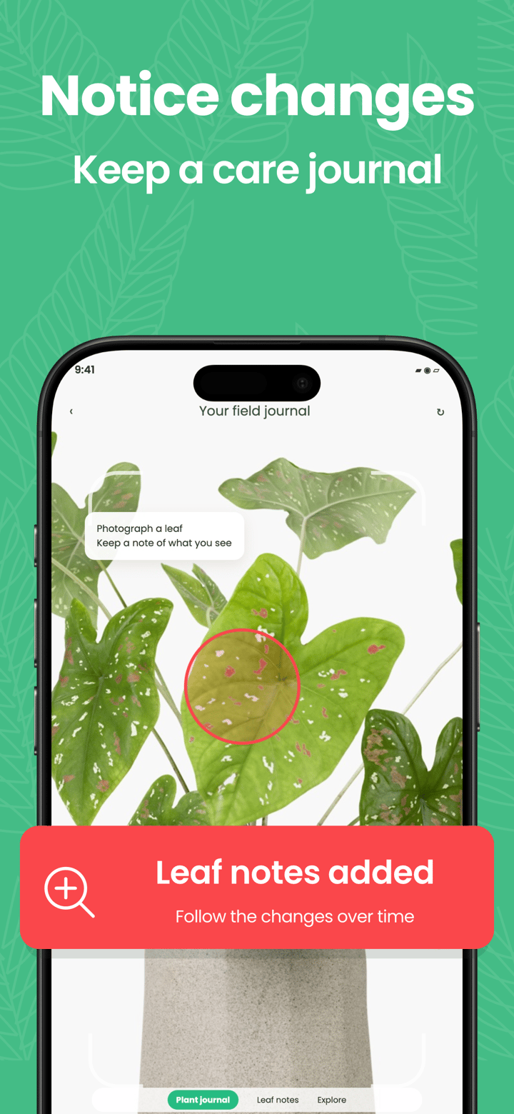 Fern Scan app screenshot template preview, screen 2 of 5, Lifestyle design