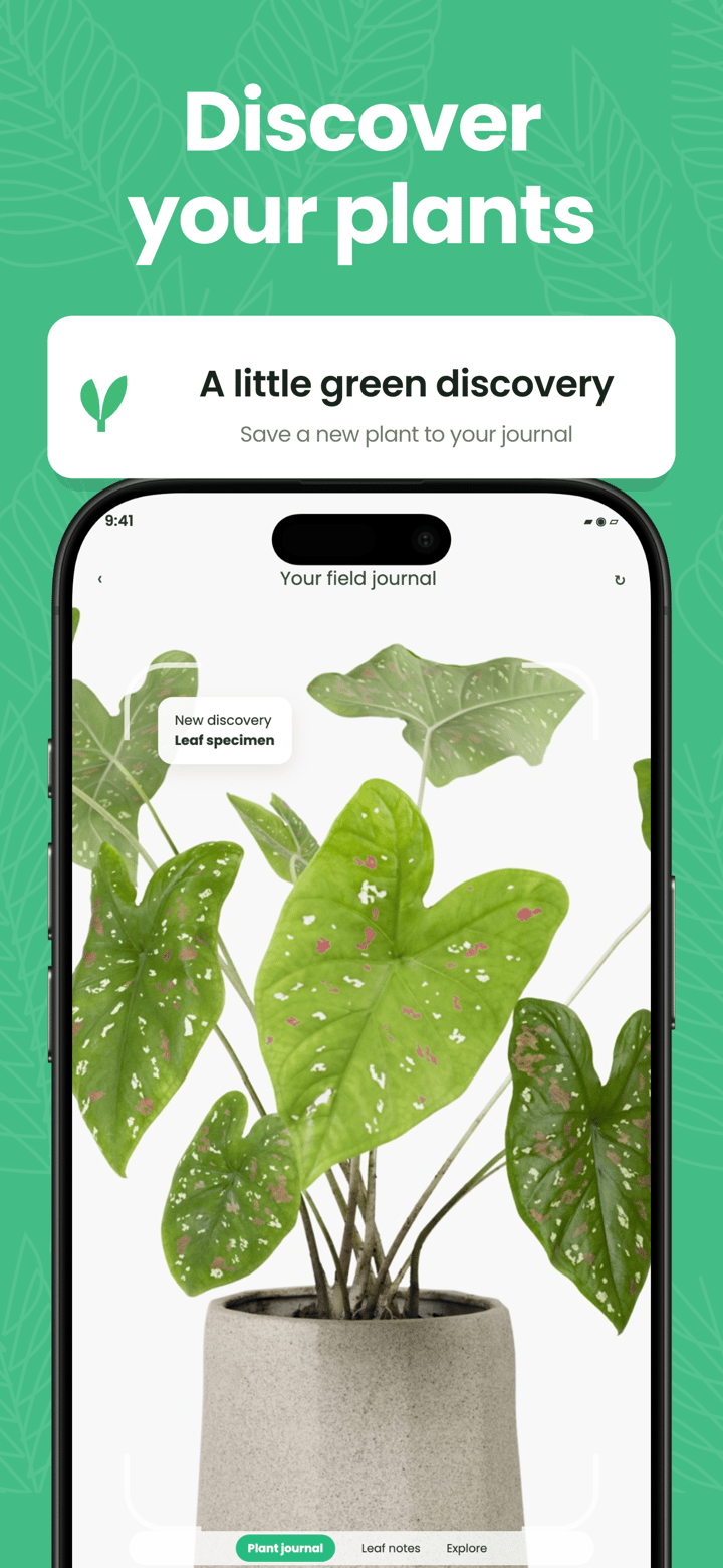 Fern Scan app screenshot template preview, screen 1 of 5, Lifestyle design