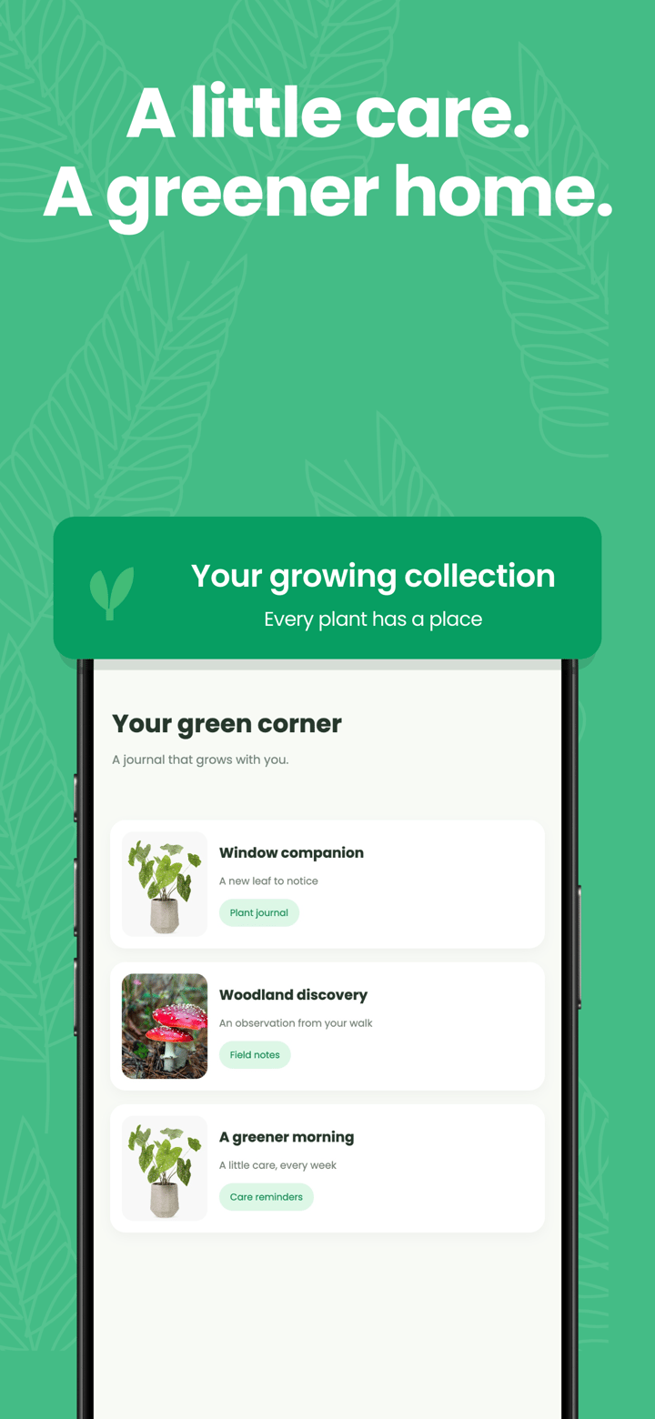 Fern Scan app screenshot template preview, screen 5 of 5, Lifestyle design
