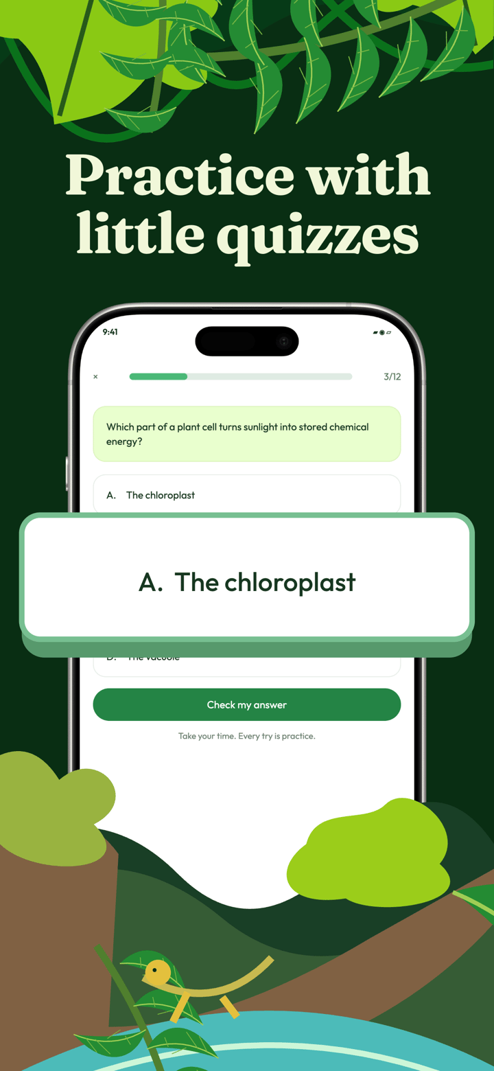 Jungle Recall app screenshot template preview, screen 3 of 5, Education design