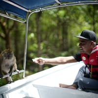 Mangrove Kayak Tour (4 hours)