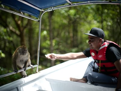 Mangrove Kayak Tour (4 hours)
