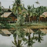 Enjoy