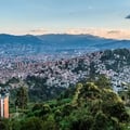 medellin