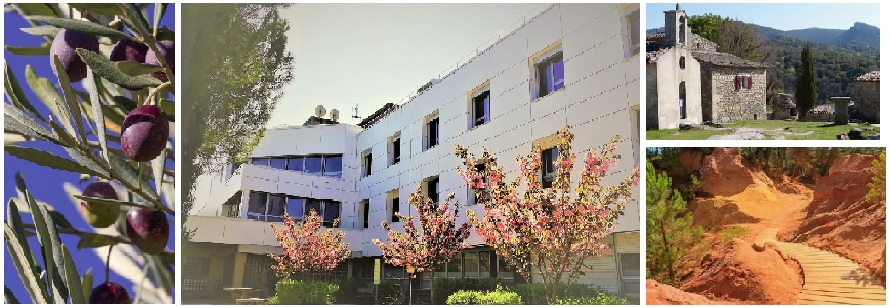 Médecin chef de service en Médecine polyvalente