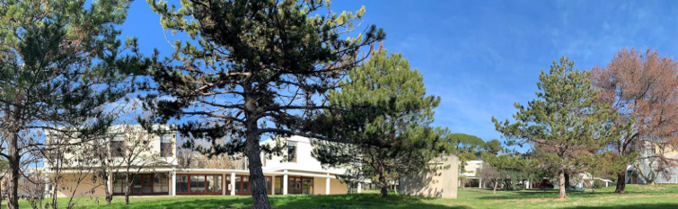 Pédopsychiatre - Temps partiel - 13I03