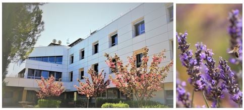 médecin pédiatre à temps partiel (consultations uniquement)