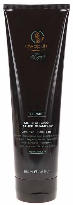 Beauty Blog Paul Mitchell Awapuhi Wild Ginger Moisturizing Lather Shampoo