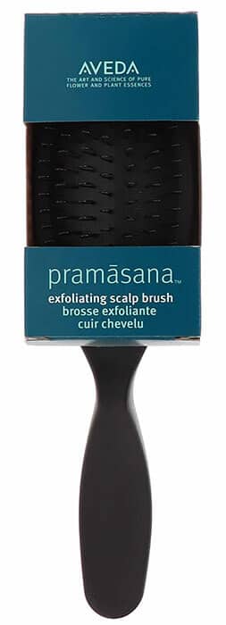 Beauty Blog Aveda Pramasana Exfoliating Scalp Brush