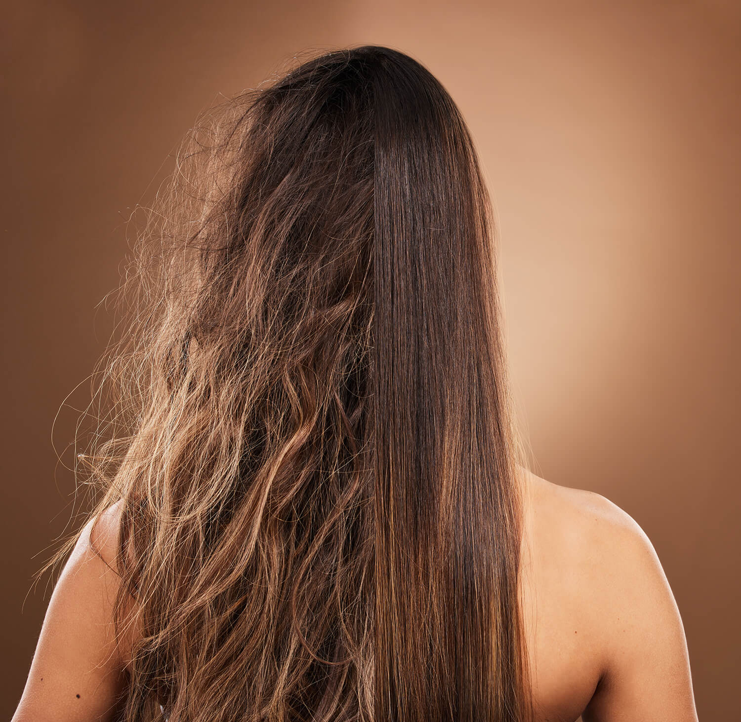 How to Repair Damaged Hair. Frizz, heat damage and hair of a woman isolated on a brown background in a studio. Back, salon treatment and lady showing results from keratin treatment, before and after a hairdresser procedure