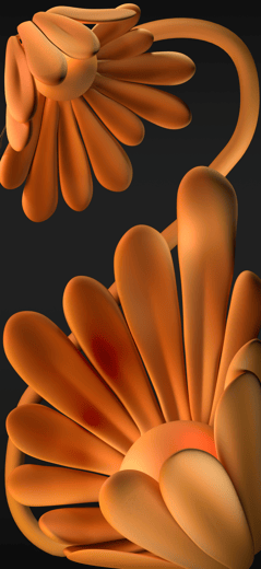 Deep Orange