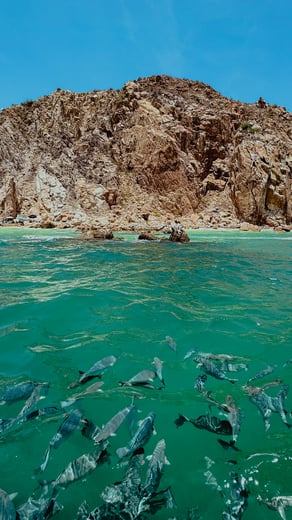Cabo San Lucas