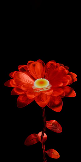 Daisy Ruby Dark