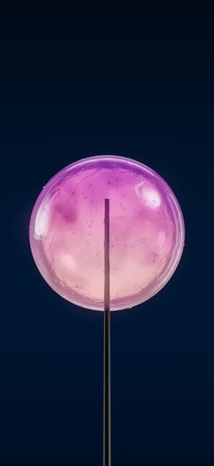 Candy Rose Dark