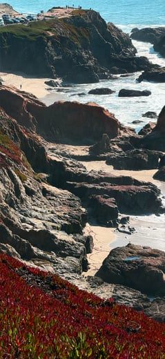 Bodega Rocks