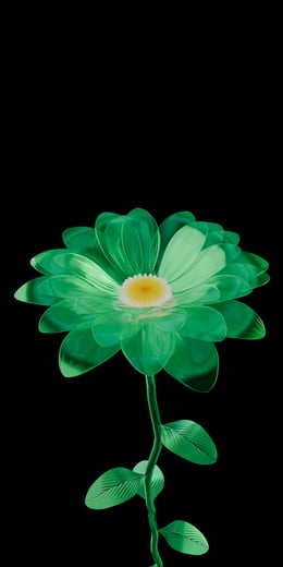 Daisy Green Dark