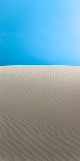 Dithered Dune