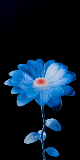 Daisy Azure Dark