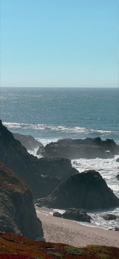 Bodega Tides