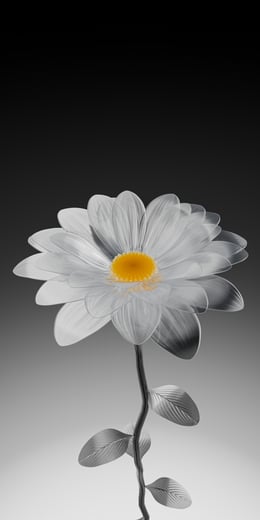 Daisy Silver