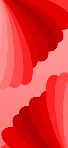 Poppy Clamshell