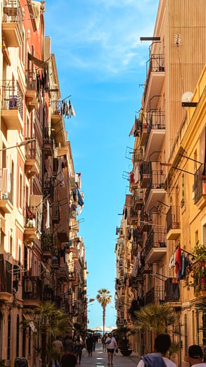 Carrer de Meer