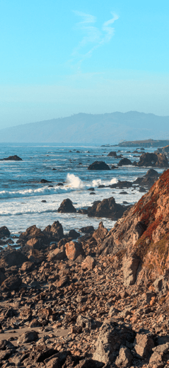 Occidental Shore