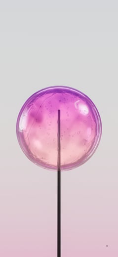 Candy Rose