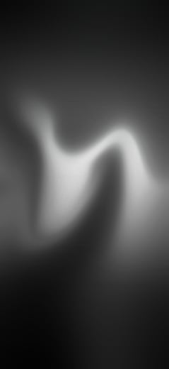 Mono