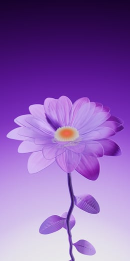 Daisy Violet