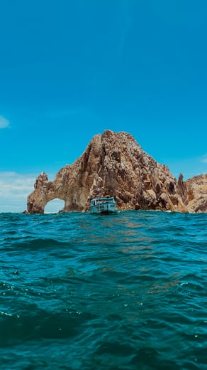 The Arc