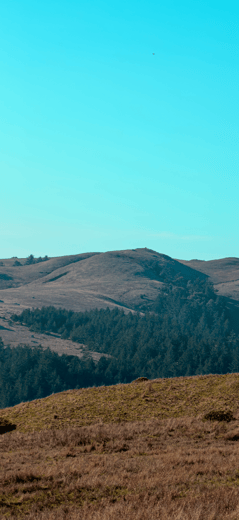 Occidental Hills