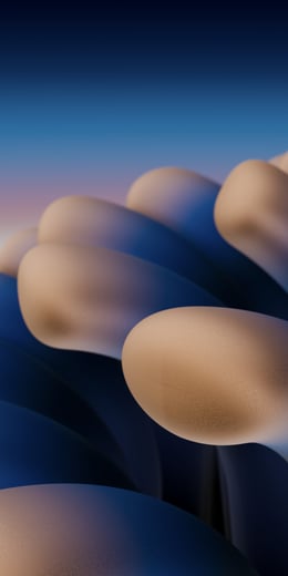 Sunrise Depth