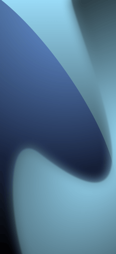 sky orca