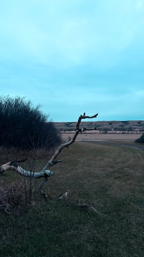 Saskatchewan Skys