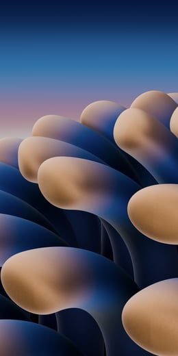 Sunrise Focus